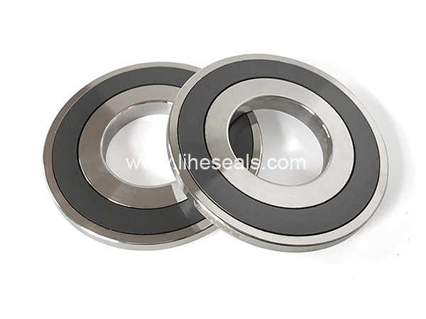 Silicon carbide ring with stainless steel holder